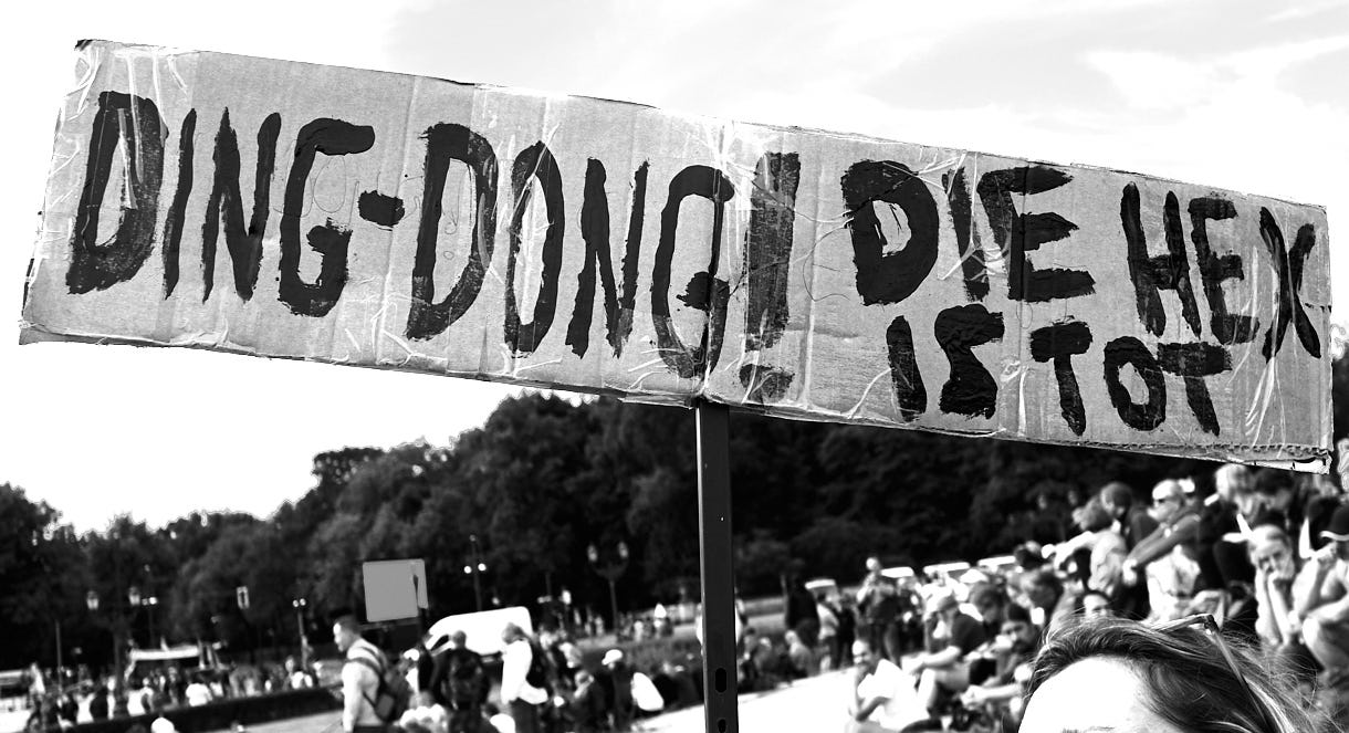 Bild von H.Schiele von der großen Querdenken-Demonstration am 29. August 2020 in Berlin